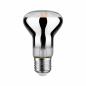 Preview: Paulmann 28732 LED Fil Plant R63 E27 6.5W