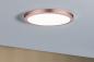 Preview: Flache LED-Wandlampe in Rosegold Atria 30cm mit universalweißem Licht für Wohnräume Paulmann 70940