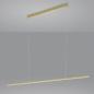 Preview: Helestra LOOPY Filigrane LED Balken Pendelleuchte in mattgold satiniert 150cm