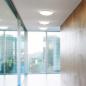 Preview: LEDVANCE Essential LED Decken- und Wandleuchte IP20