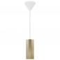 Preview: Nordlux Alanis elegante Pendelleuchte Messing GU10 minimalistisches Design