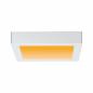 Preview: Aktion: Nur noch angezeigter Bestand verfügbar - Universal LED Decken Leuchte Carpo mit WarmDim-Funktion eckig 225x225mm in Weiß Paulmann 79796