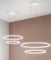 Preview: Giotto Pendelleuchte in Weiss aus zwei leitungsstarken LED-Ringen von Fabas Luce