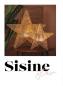 Preview: Aktion: Nur noch angezeigter Bestand verfügbar - New Garden SISINE 40 Kleiner Seegras Stern beleuchtet Akku dimmbar Fernbedienung
