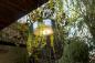 Preview: New Garden 2 in 1 LED Pflanzenampel ø39cm als Hängeleuchte für Balkon Akku & Fernbedienung Innen & Außen IP54