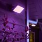 Preview: Philips Hue Discover Fluter LED Outdoor Wandleuchte White and Color IP44 ZigBee