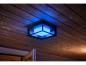 Preview: Philips Hue Outdoor LED Wandleuchte & Deckenleuchte Econic in Schwarz