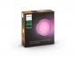 Preview: Philips Hue White Color Ambiance Daylo LED Outdoor Wandleuchte silber IP44 ZigBee