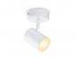 Preview: Aktion: Nur noch angezeigter Bestand verfügbar - WIZ Smarter LED 1-flammiger Wandstrahler Imageo in Weiß WLAN/Wi-Fi Tunable White