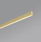 Preview: Helestra LOOPY Filigrane LED Balken Pendelleuchte in mattgold satiniert 150cm