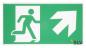Preview: SLV 240008 P-LIGHT Emergency stair sign, big, green