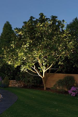 Paulmann 94241 Outdoor Plug & Shine Spotlight Pike Erdspieß Leuchte Garten