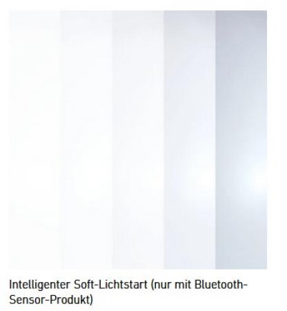 STEINEL L 800 C  Außenwandlampe Anthrazit Bluetooth