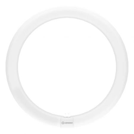 Ledvance T9 LED Röhre TUBE C 32 EM V 18.3W 865 wie 32W G10q Ringform Tageslichtweiß 6500K