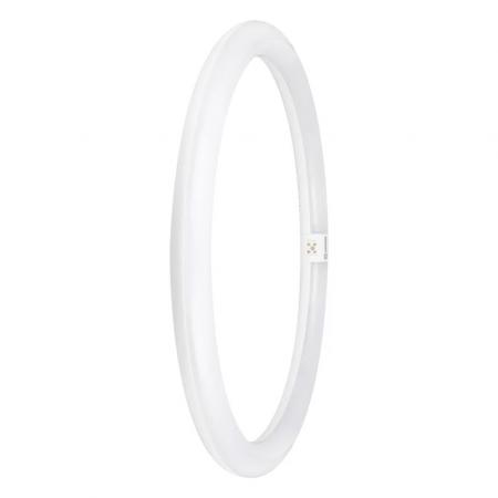 Ledvance T9 LED Röhre TUBE C 40 EM V 24W 840 wie 40W G10q Ringform Universalweiß 4000K