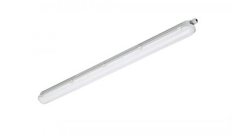 150cm Philips CoreLine LED Feuchtraumleuchte WT120C G2 LED60S/840 PSD L1500 IP65 4000K Dali