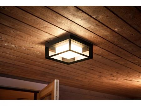 Philips Hue Outdoor LED Wandleuchte & Deckenleuchte Econic in Schwarz