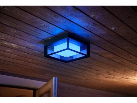 Philips Hue Outdoor LED Wandleuchte & Deckenleuchte Econic in Schwarz