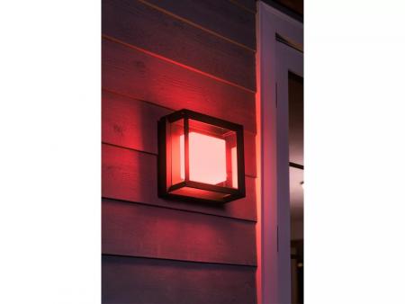 Philips Hue Outdoor LED Wandleuchte & Deckenleuchte Econic in Schwarz