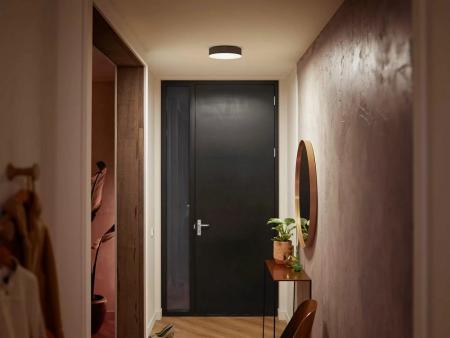 Philips Hue Enrave Deckenleuchte inkl. Dimmschalter Schwarz 26,1cm