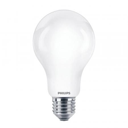 PHILIPS E27 LED Glühbirne weiss mattiert A67 17,5W wie 150W warmweisses Licht augenschonend