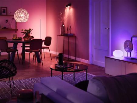 Starter Set Philips Hue E27 Lampe A60 Doppelpack + Dimmschalter + Hue Bridge RBGW