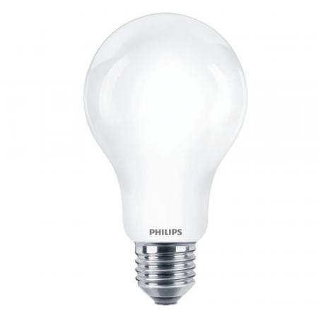 Leistungsstarke PHILIPS E27 CorePro LED Lampe in Birnenform 17,5W wie 150W 6500K kaltweißes Licht - mattiertes Glas