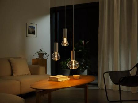 Philips Hue E27 White & Color Ambiance - Lightguide Lampe Ellipse