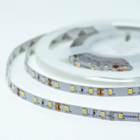 Bioledex LED Streifen 12V 12W/m 60LED/m 6000K IP65 5m Rolle tageslichtweiss