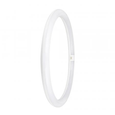 OSRAM T9 G10q LED-Röhre in Ringform 24W Ersatz für 40W 6500K