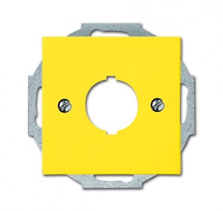 Busch-Jaeger 2533-914-15 Zentralscheibe mit Tragring