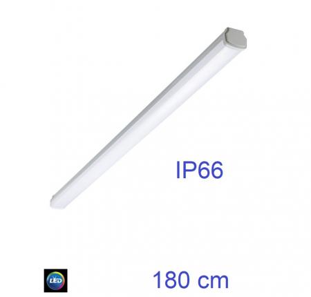 180cm Philips Ledinaire LED Feuchtraumleuchte WT060C LED  80S/840 PSU L1800 4000K neutralweißes Licht IP66 8000lm 65W