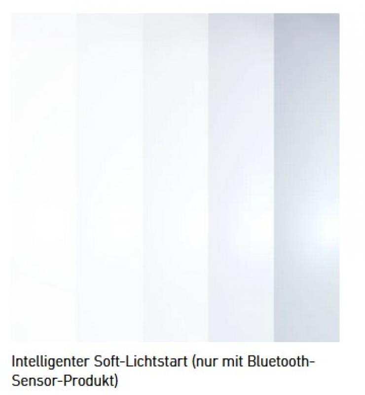 STEINEL L 800 C  Außenwandlampe Anthrazit Bluetooth