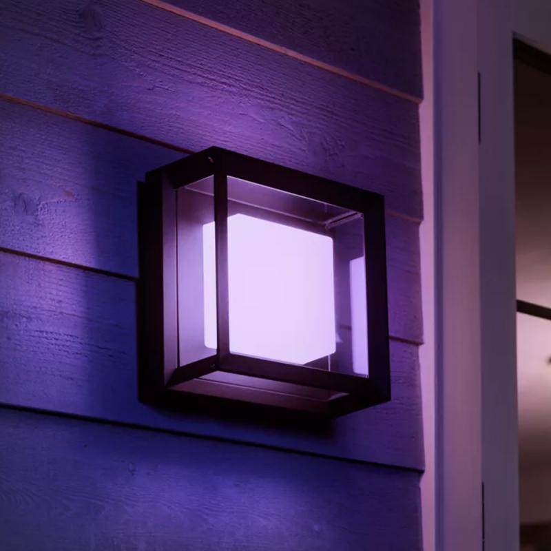 Philips Hue Outdoor LED Wandleuchte & Deckenleuchte Econic in Schwarz