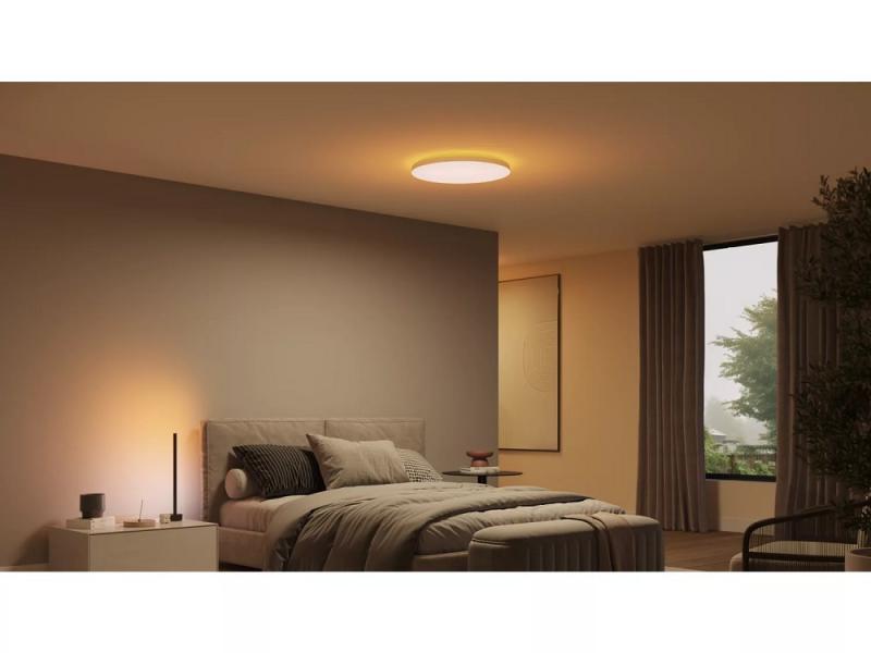 Philips Hue White Color Ambiance Datura Deckenleuchte groß - RGBW multicolor