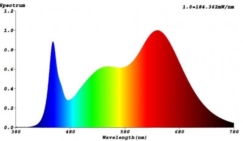 Bioledex GoLeaf A2 LED Pflanzenleuchte 30W asymmetrisch Vollspektrum Grow-Lampe S4 Schwarz für 3-Phasenschiene, Made in Germany