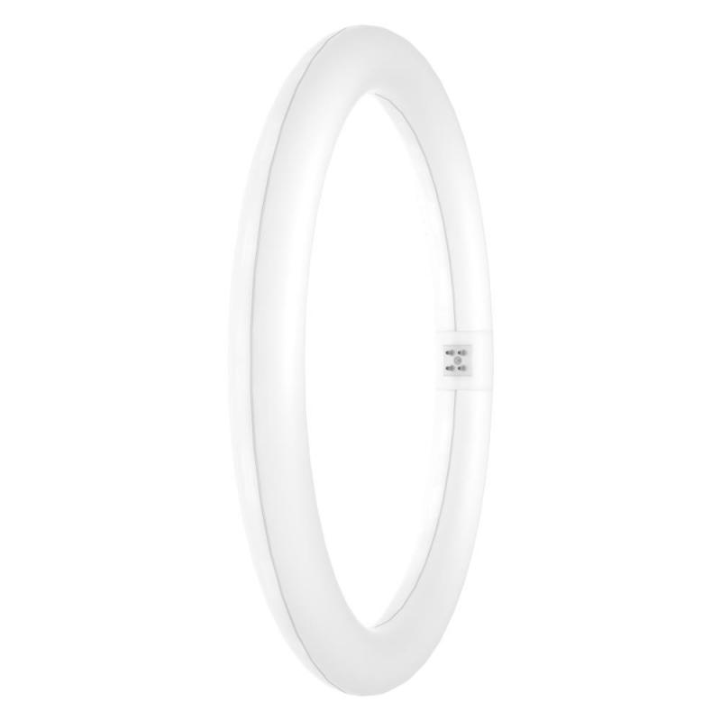 OSRAM T9 G10q LED-Röhre in Ringform 18,3W Ersatz für 32W 4000K  EM neutralweißes Licht KVG/VVG