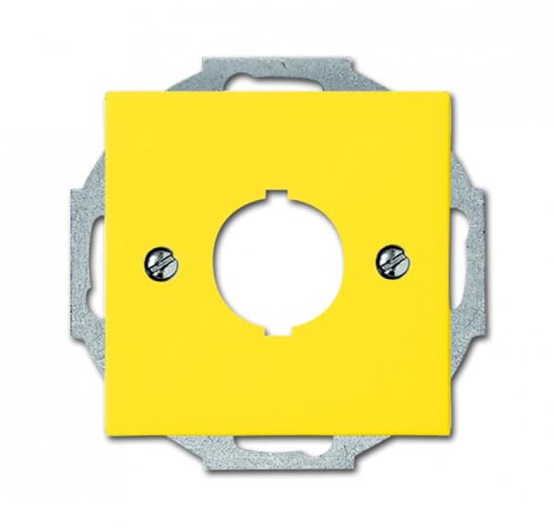 Busch-Jaeger 2533-914-15 Zentralscheibe mit Tragring