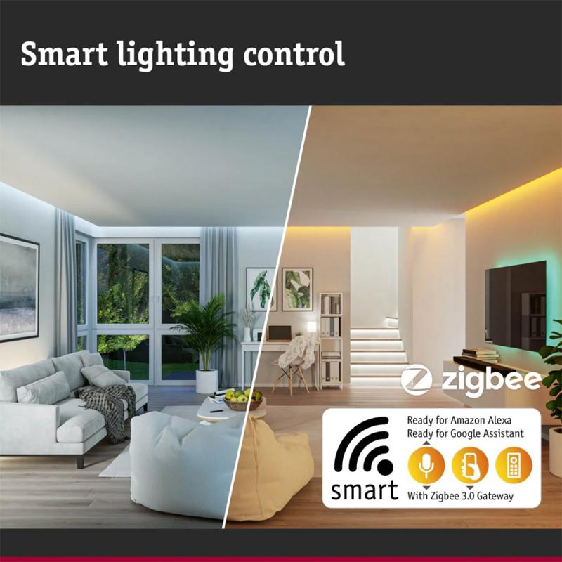 Paulmann 94769 Plug & Shine LED Gartenstrahler Smart Home Zigbee Kikolo IP65 RGBW+ 6,2W Anthrazit