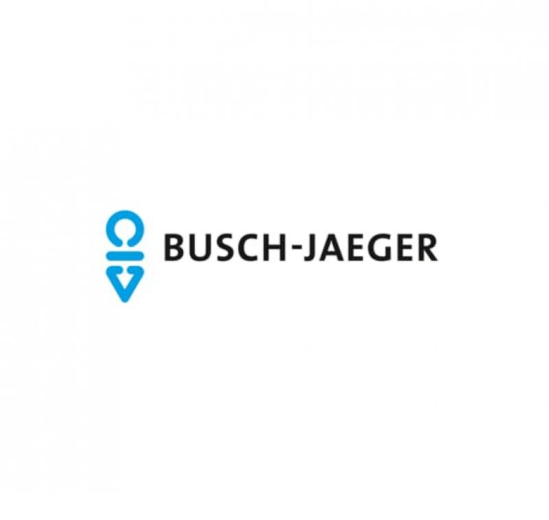 Busch-Jaeger 2116 Original-Ersatzsicherung T 16 G