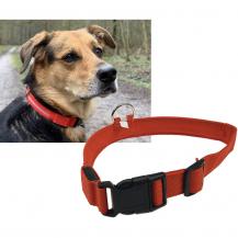 ChiliTec Hunde-Halsband leuchtend mit LED 52-60cm, Größe XL, rot
