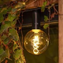 Hochwertige New LED-Centrum kaufen Produkte günstig | LED Garden