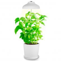 Bioledex GoLeaf TOP5 LED Pflanzenleuchte Vollspektrum 5W USB Pflanzenbeleuchtung